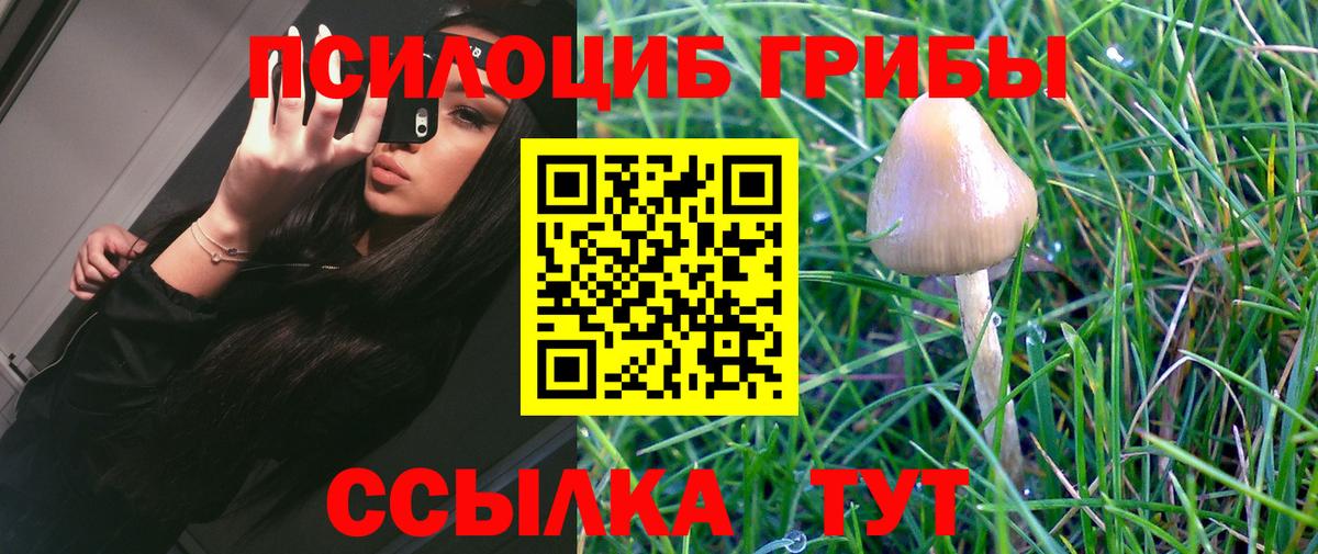 Псилоцибиновые грибы мухоморы Дюртюли